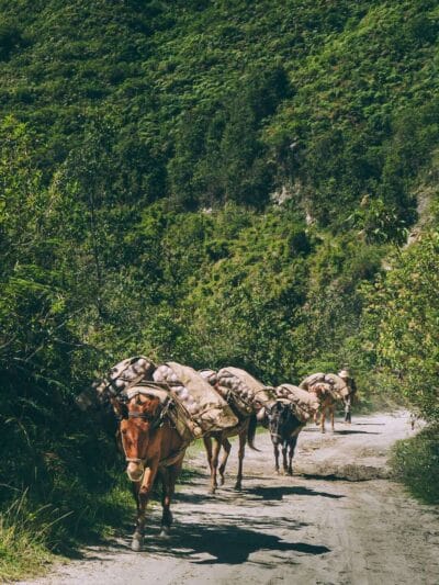 Que hacer en Murillo ? Entre palmas de cera, termales y trekking