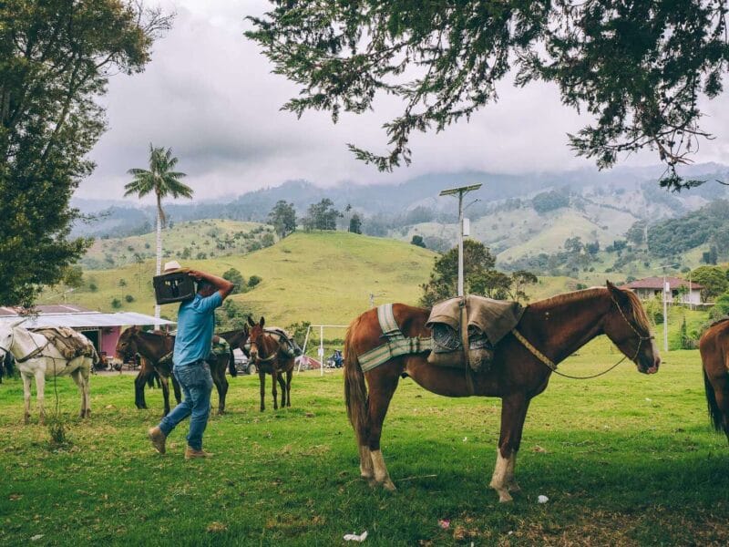 Que hacer en Murillo ? Entre palmas de cera, termales y trekking