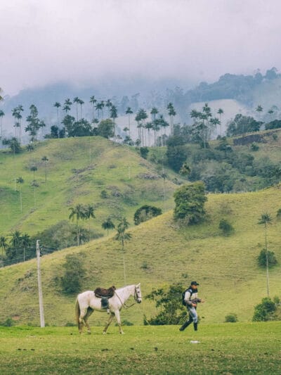 Que hacer en Murillo ? Entre palmas de cera, termales y trekking