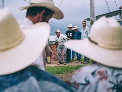 Que hacer en Murillo ? Entre palmas de cera, termales y trekking