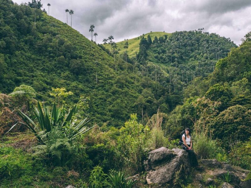 Que hacer en Murillo ? Entre palmas de cera, termales y trekking