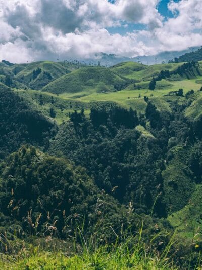 Que hacer en Murillo ? Entre palmas de cera, termales y trekking