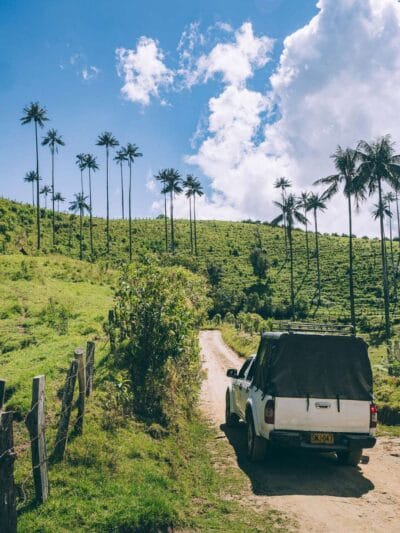 Que hacer en Murillo ? Entre palmas de cera, termales y trekking