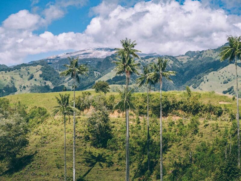 Que hacer en Murillo ? Entre palmas de cera, termales y trekking