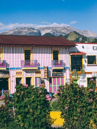 Que hacer en Murillo ? Entre palmas de cera, termales y trekking