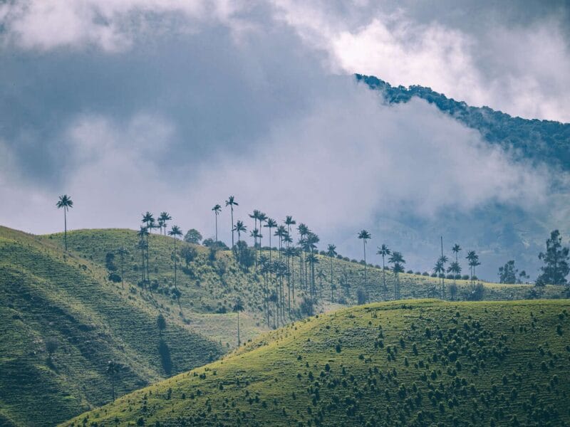 Que hacer en Murillo ? Entre palmas de cera, termales y trekking