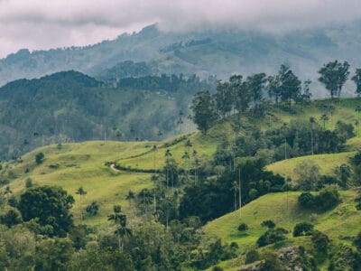 Que hacer en Murillo ? Entre palmas de cera, termales y trekking