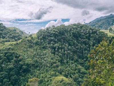 Que hacer en Murillo ? Entre palmas de cera, termales y trekking
