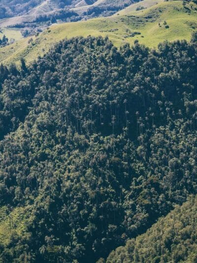 Que hacer en Murillo ? Entre palmas de cera, termales y trekking