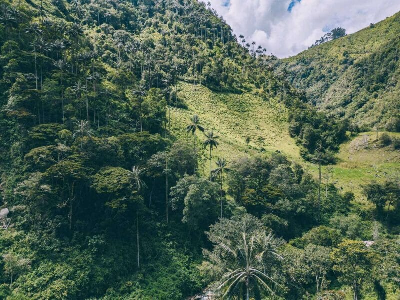 Que hacer en Murillo ? Entre palmas de cera, termales y trekking