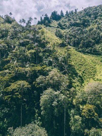 Que hacer en Murillo ? Entre palmas de cera, termales y trekking