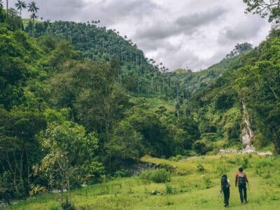 Que hacer en Murillo ? Entre palmas de cera, termales y trekking