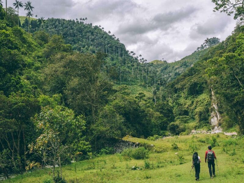 Que hacer en Murillo ? Entre palmas de cera, termales y trekking