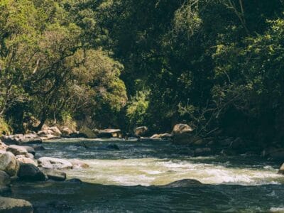 Que hacer en Murillo ? Entre palmas de cera, termales y trekking