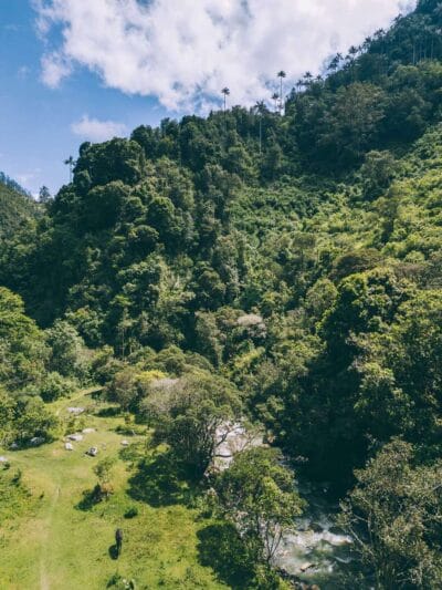 Que hacer en Murillo ? Entre palmas de cera, termales y trekking