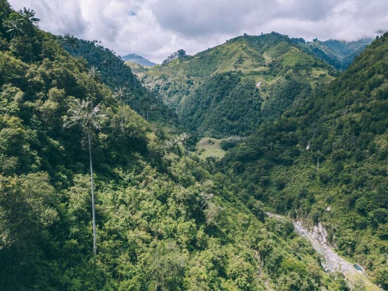 Que hacer en Murillo ? Entre palmas de cera, termales y trekking