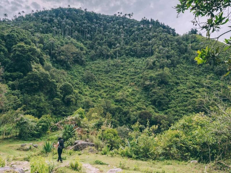 Que hacer en Murillo ? Entre palmas de cera, termales y trekking