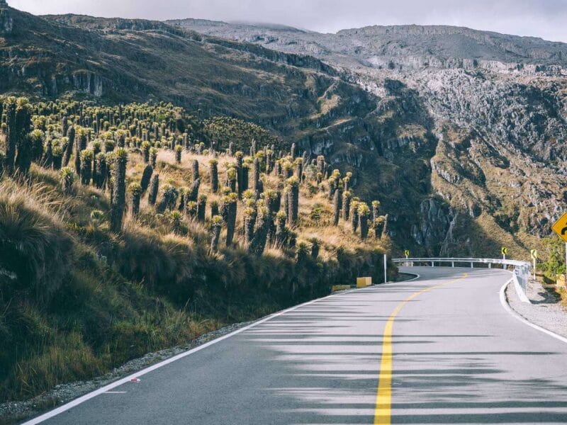 Que hacer en Murillo ? Entre palmas de cera, termales y trekking
