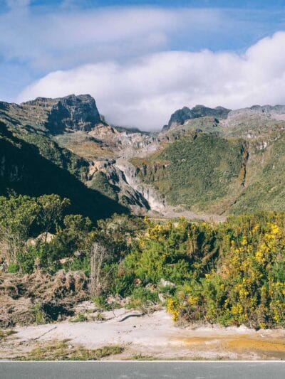 Que hacer en Murillo ? Entre palmas de cera, termales y trekking