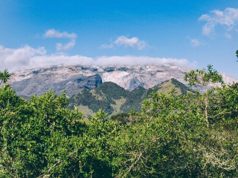 Que hacer en Murillo ? Entre palmas de cera, termales y trekking