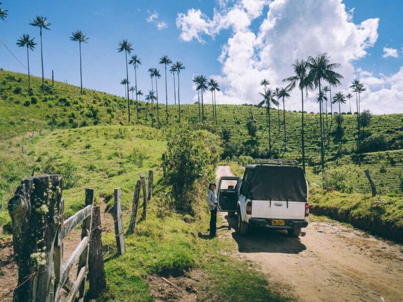 Que hacer en Murillo ? Entre palmas de cera, termales y trekking