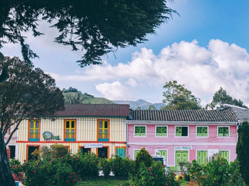 Que hacer en Murillo ? Entre palmas de cera, termales y trekking
