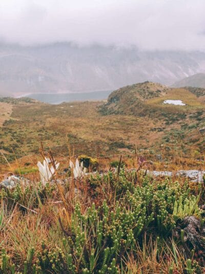 Trek al Nevado Santa Isabel, Parque nacional de los Nevados