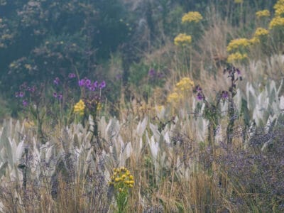 Trek al Nevado Santa Isabel, Parque nacional de los Nevados