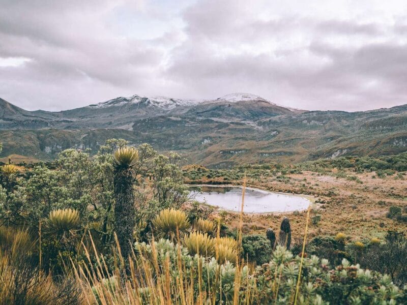 Trek al Nevado Santa Isabel, Parque nacional de los Nevados