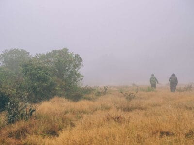 Pantano de Martus, en busca del oso de anteojos