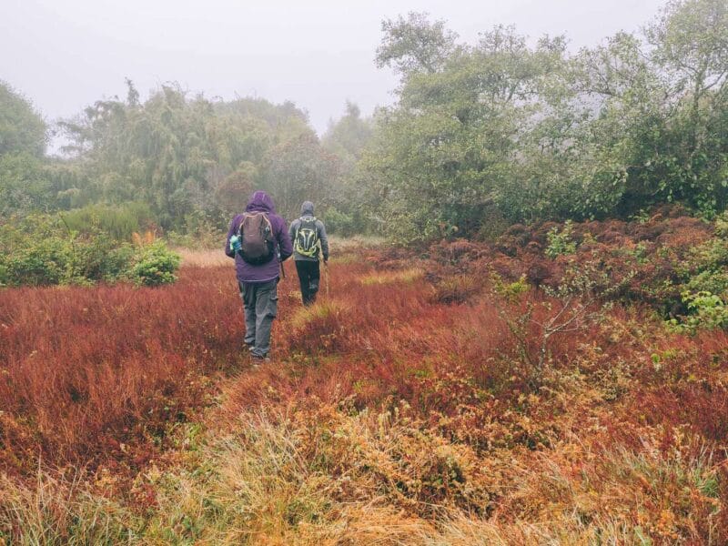 Pantano de Martus, en busca del oso de anteojos