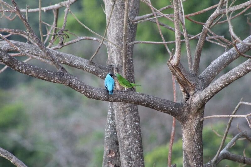Trekking Cerro Kennedy: caminata de 2 días cerca de Santa Marta, Colombia