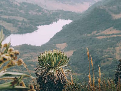 Paramo de Ocetá, una caminata inolvidable