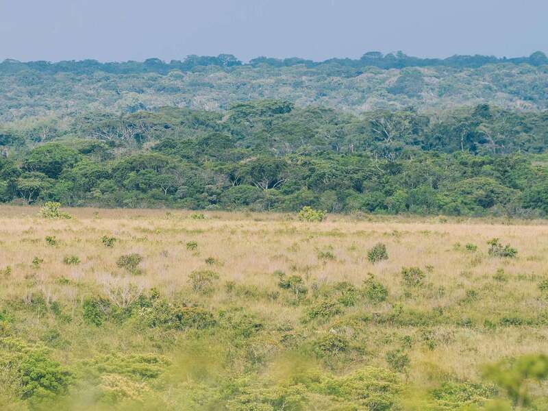 Viajar a Caño Cristales y descubrir La Macarena