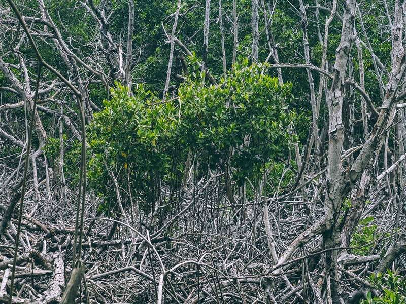 4 días en Isla grande, Cartagena nuestra guía completa
