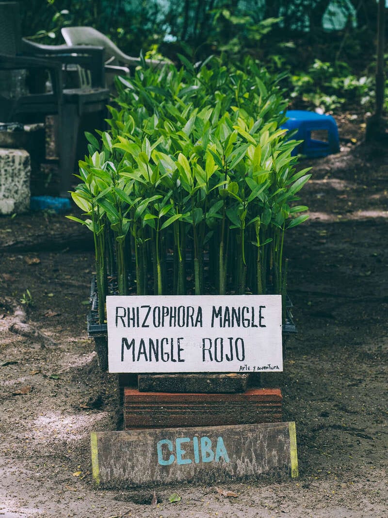 4 días en Isla grande, Cartagena nuestra guía completa