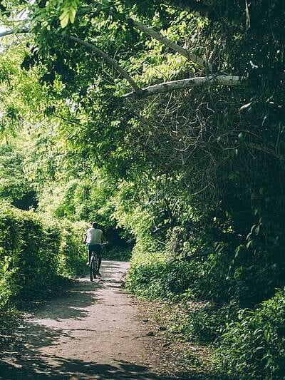 4 días en Isla grande, Cartagena nuestra guía completa