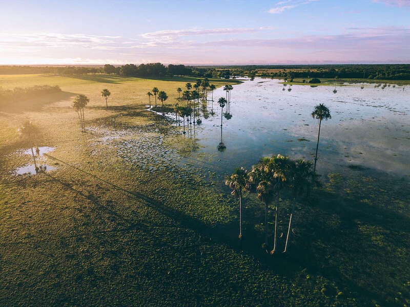 Por qué los hatos del Casanare albergan tanta fauna silvestre ?