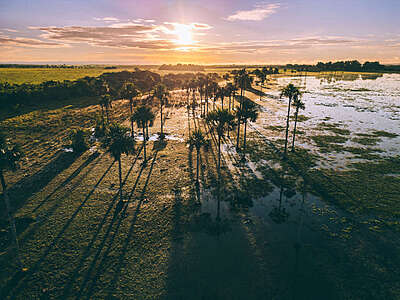 Viajar en el Casanare, toda la información práctica