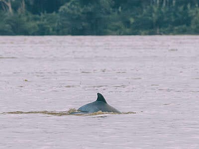 5 días en una comunidad indígena en el Amazonas