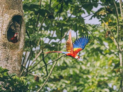 5 días en una comunidad indígena en el Amazonas