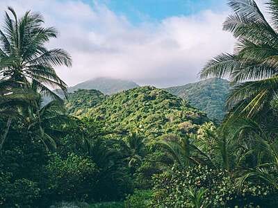Trek Parque Tayrona 2 días: de Calabazo a El Zaino