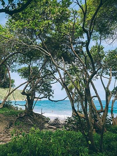 Trek Parque Tayrona 2 días: de Calabazo a El Zaino