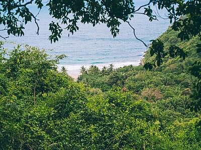 Trek Parque Tayrona 2 días: de Calabazo a El Zaino