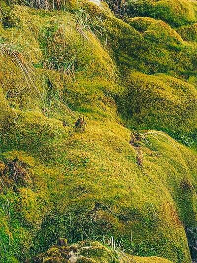 Nevado del Ruíz : Paisajes volcánicos al alcance de todos