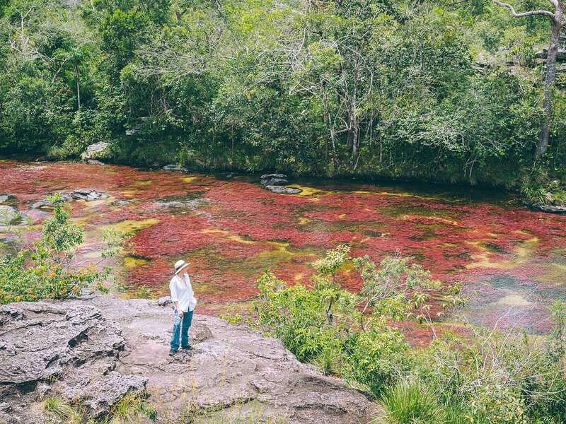 Contacto agencia local en La Macarena para Caño Cristales