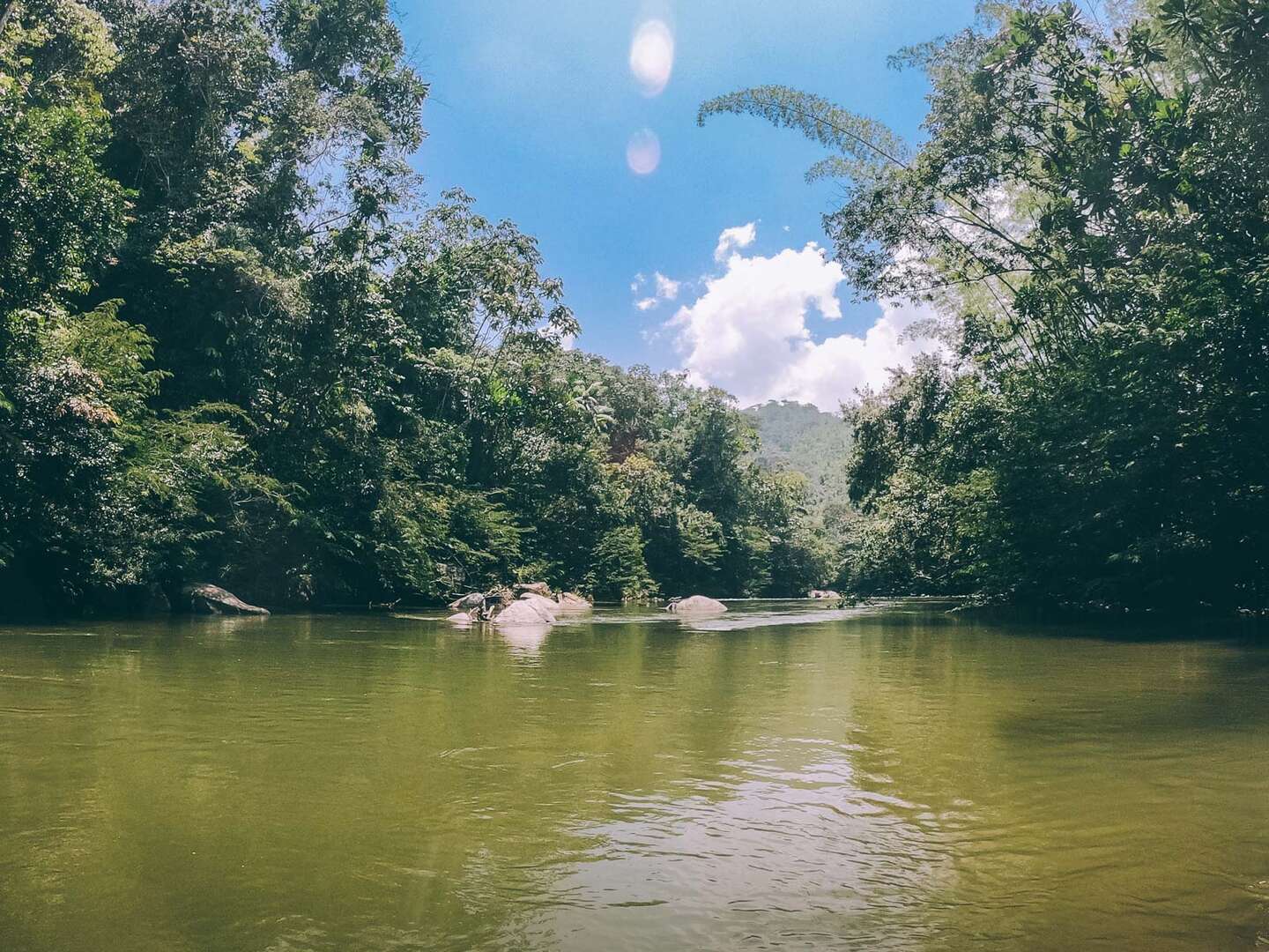 Contacto agencia local para rafting y activades de naturaleza en Medellin