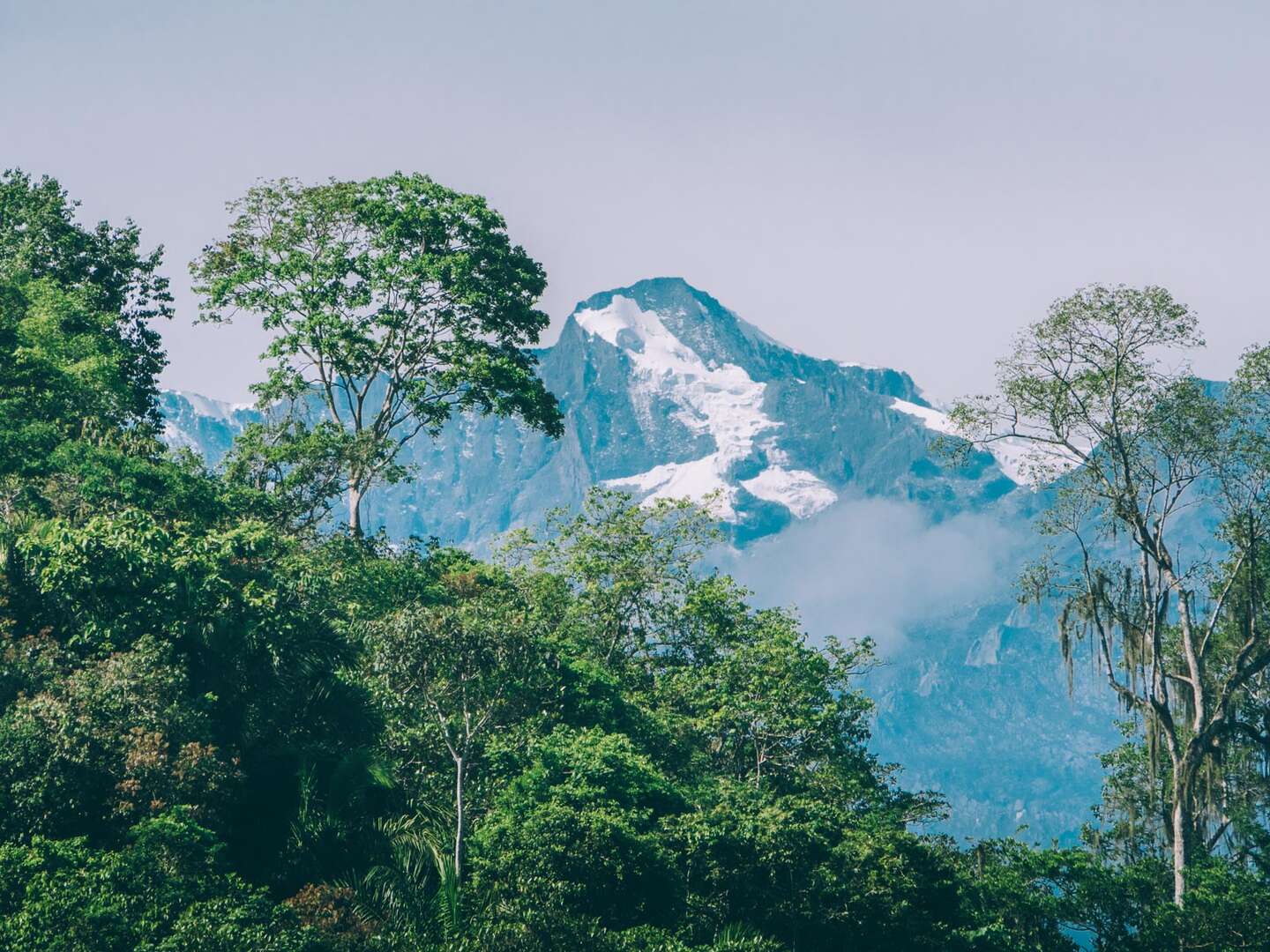 Contactos agencia local en la Sierra Nevada de Santa Marta