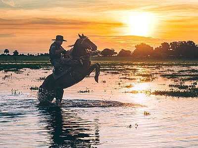 Contactos Agencia local para viajar en los Llanos de Casanare