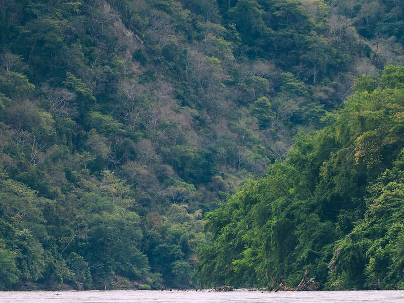 Qué hacer en Honda, guía para visitar este pueblo patrimonio de Colombia